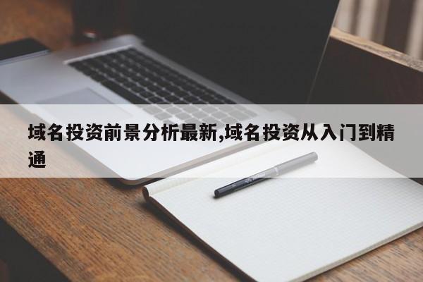 域名投资前景分析最新,域名投资从入门到精通