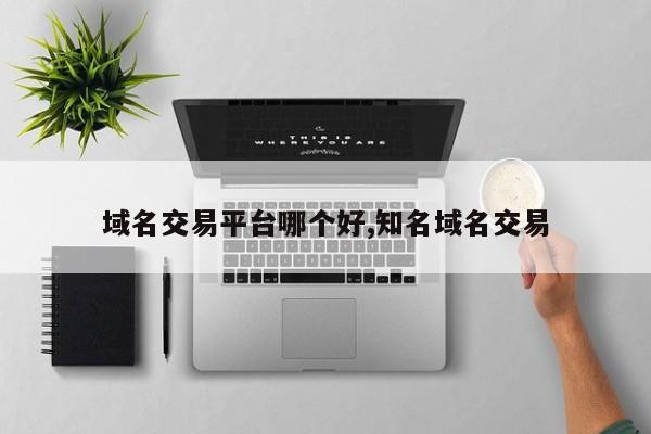 域名交易平台哪个好,知名域名交易